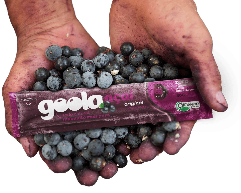 açaí amazônia origem goola